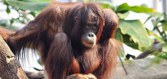 Ein Tag im Rostocker Zoo – Yachthafenresidenz Hohe Düne