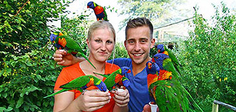 Artisten der Lüfte im Vogelpark Marlow – Yachthafenresidenz Hohe Düne